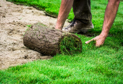 Turf Laying Services: The Key to a Lush, Healthy Lawn